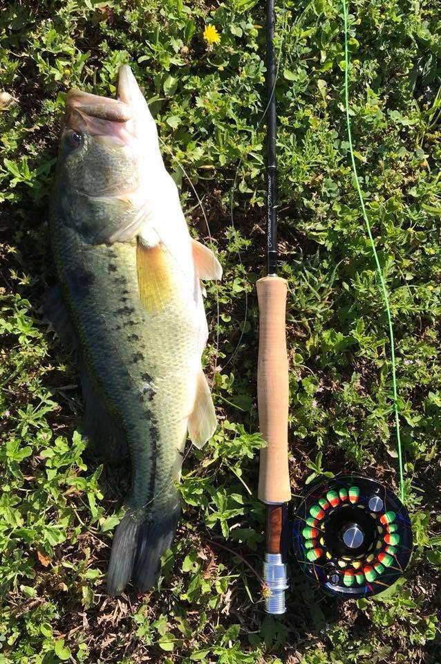 SF Fly Fishing Tapered Nylon Leader