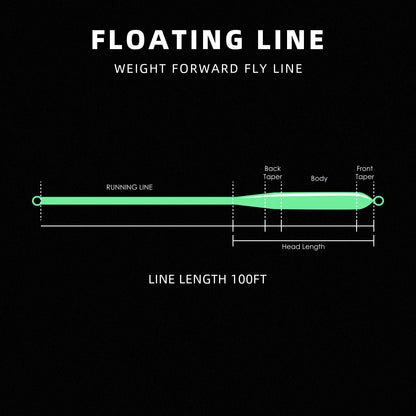 SF Fly Fishing Line Weight Forward Floating Line Welded Loop 100FT Without Spool