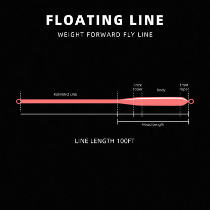 SF Fly Fishing Line Weight Forward Floating Line Welded Loop 100FT Without Spool