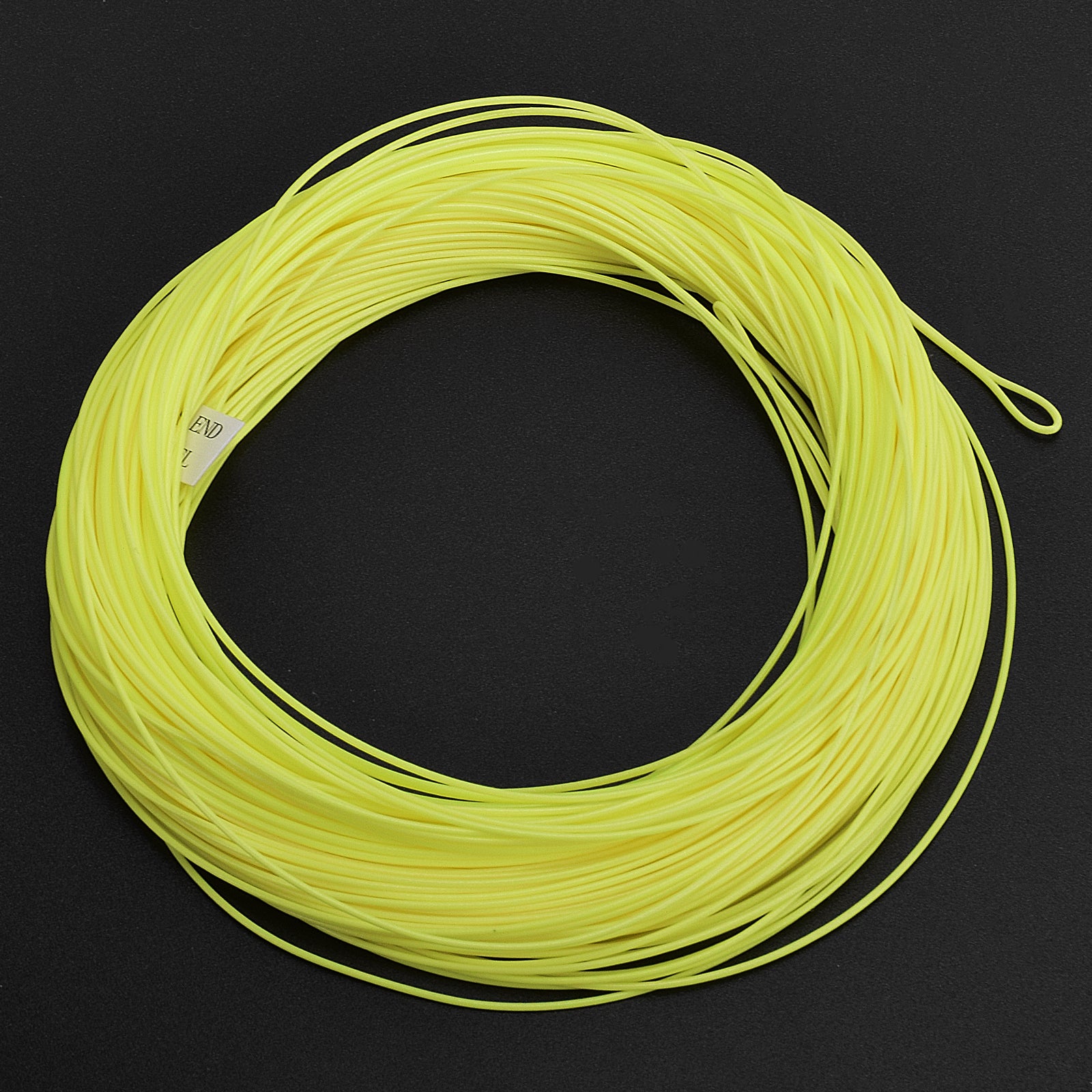 SF Fly Fishing Line Weight Forward Floating Line Welded Loop 100FT Without Spool