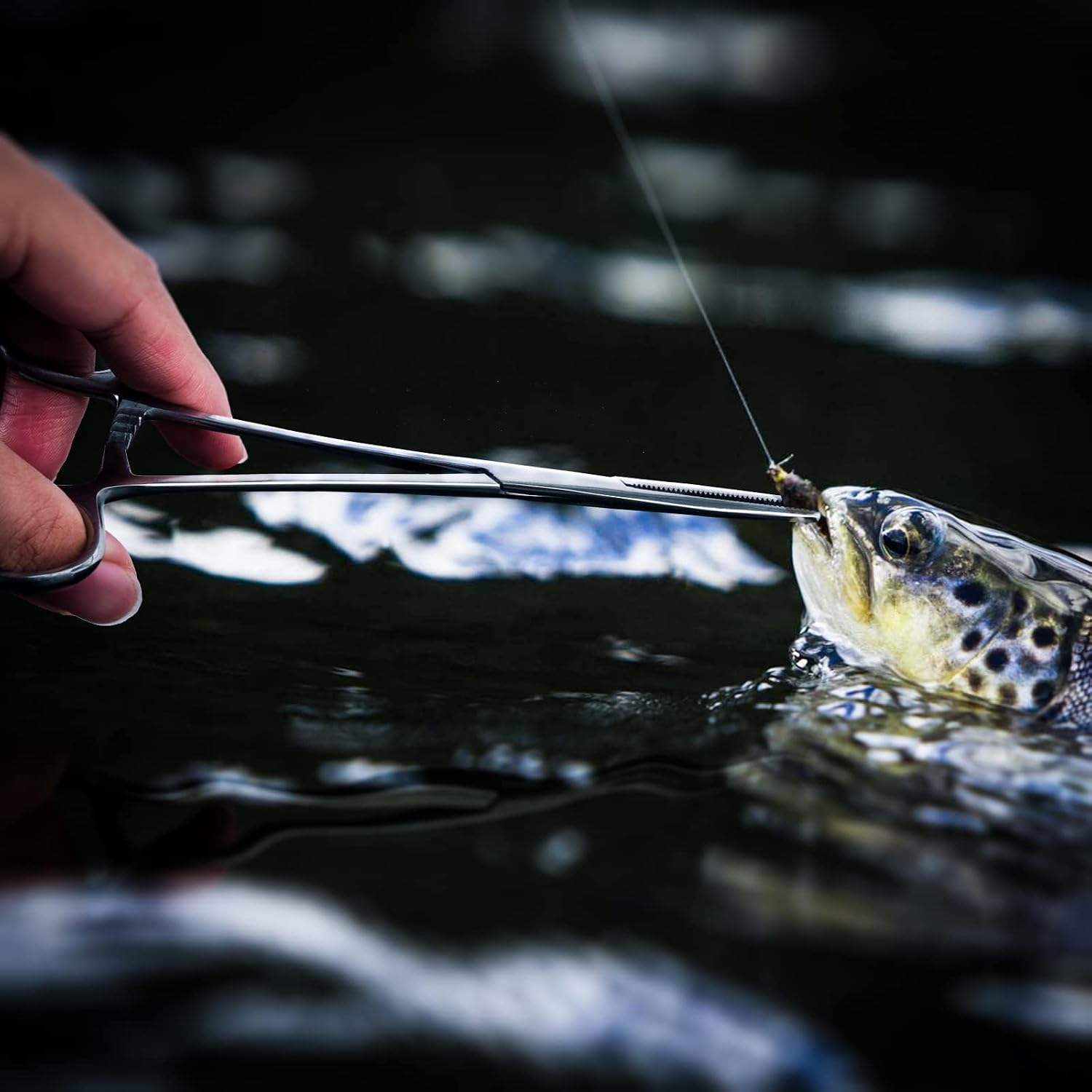 SF Fly Fishing Tools Kit Includes a Fishing Knot Tool and Line Clipper, Zinger Retractor and Hook Remover Forceps.