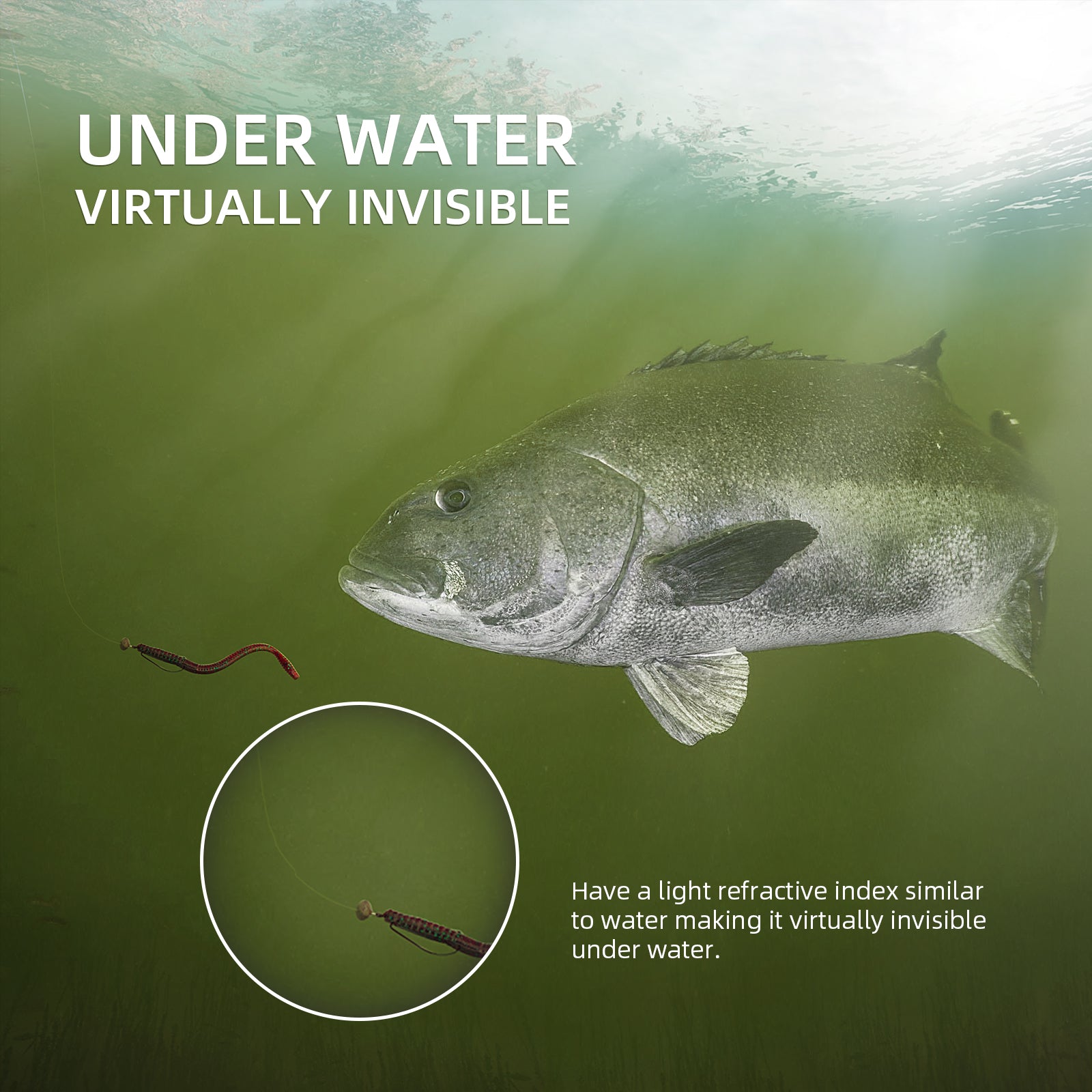 Virtually Invisible Fluorocarbon Fishing Line Outsmart Even the Sneakiest  Fish