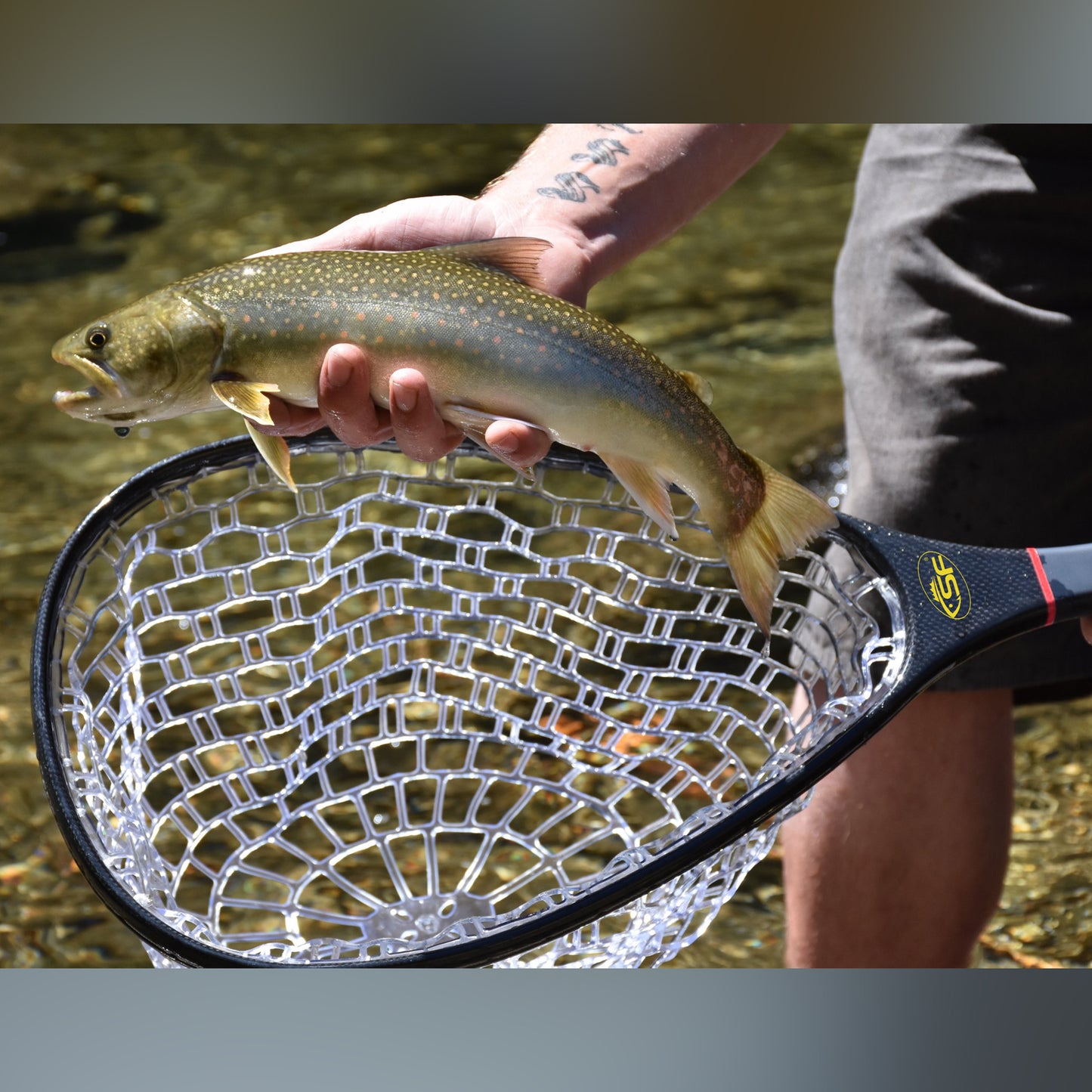 Shop Generic SF Fly Fishing Landing Soft Rubber Small or Big Mesh Trout  Catch and Release Net without the Magnet Online
