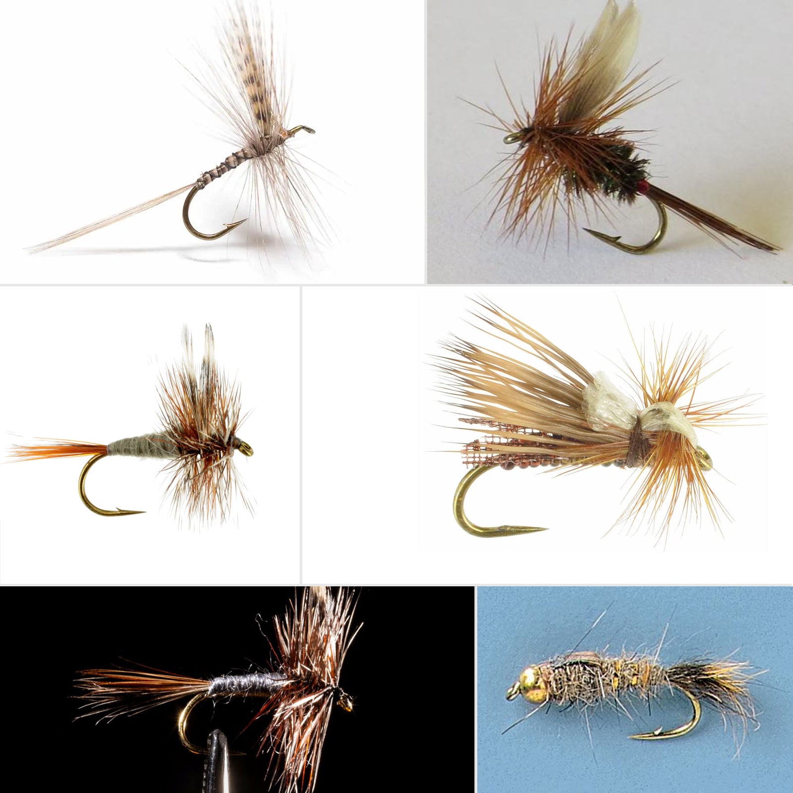 SF Standard Dry Fly Fishing Hooks with Mini Storage Box #12#14#16#18#2 SF Standard Dry Fly Fishing Hooks with Mini Storage Box #12#14#16#18#2