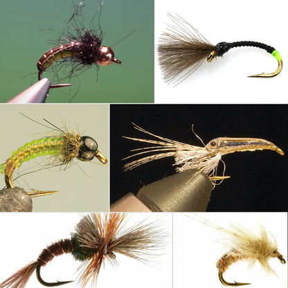 SF Short Shank Nymph Hook with Mini Storage Box #14#16#18 100Pcs